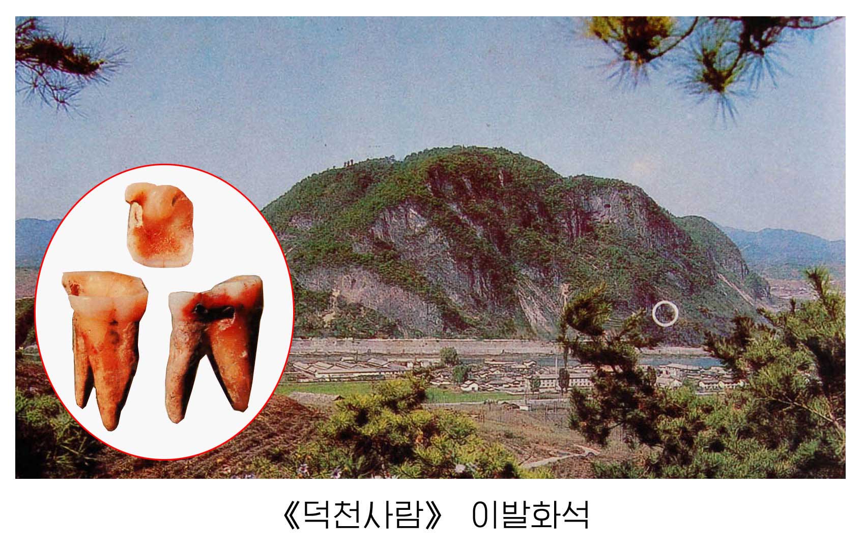 0-《덕천사람》이발화석